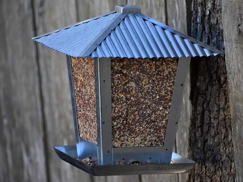 DIY bird feeders